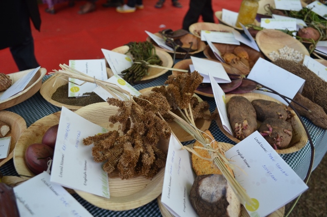 Read more about the article Indigenous diets can help fight modern illnesses, say health experts. <br> Traditional food consumed by rural communities contain nutrients that are lacking in high and middle-income countries