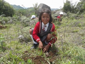 Read more about the article Umtyngngar School Children Plant 150 Saplings on WED