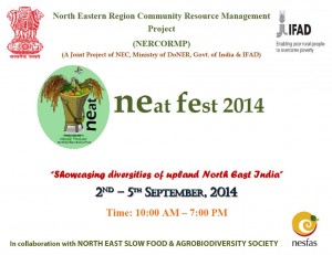 Read more about the article NESFAS @ the NEAT Fest