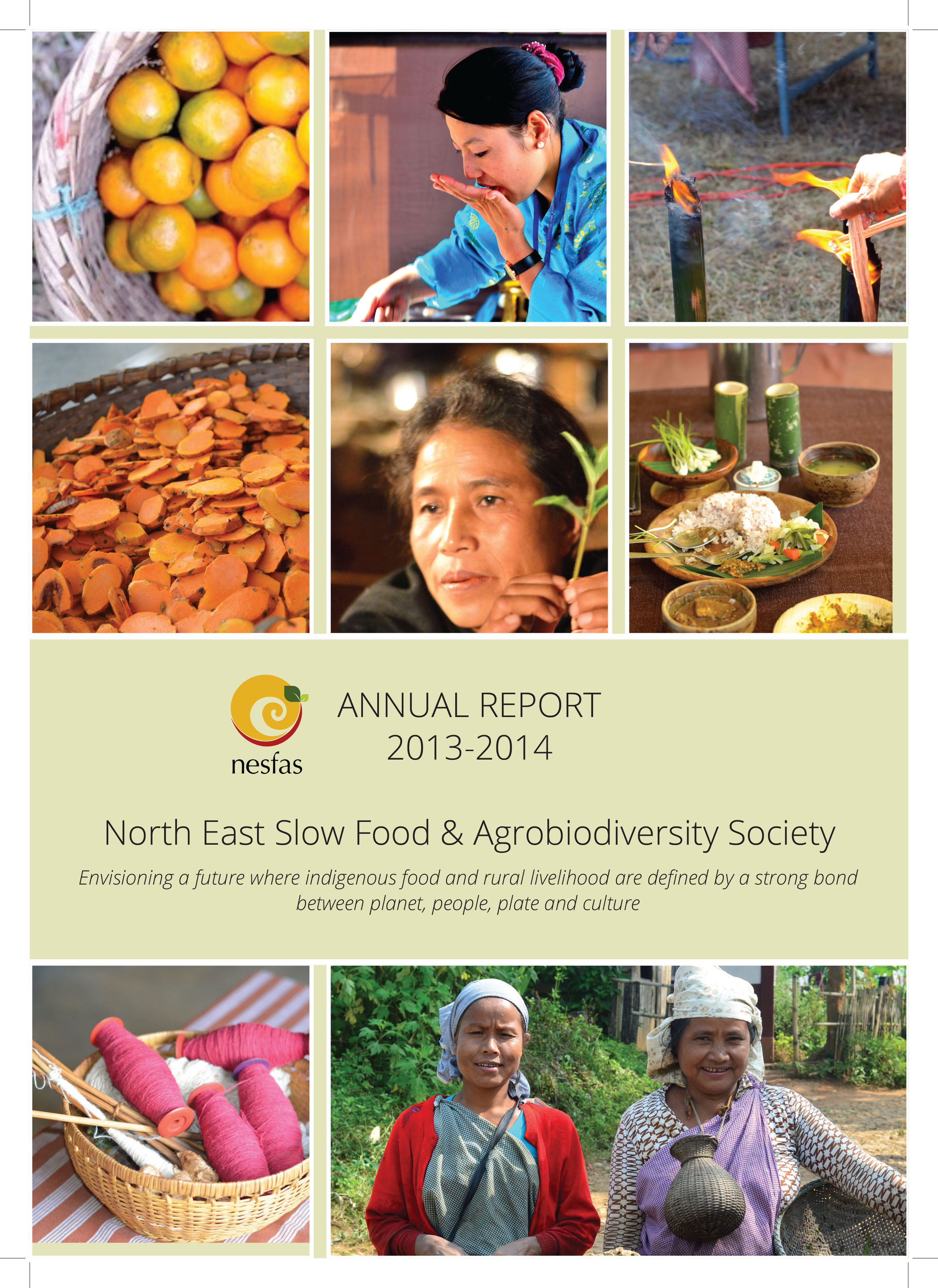 NESFAS Annual Report 2013-2014-1