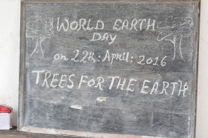 Read more about the article Planting Trees for the Future