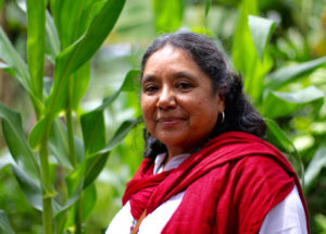 Read more about the article Agroecology: A Path We Walk On to Defend Mother Earth