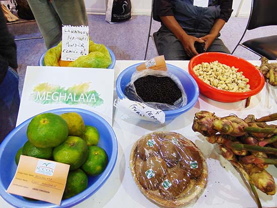 Various organic produce on display at the Meghalaya Stall