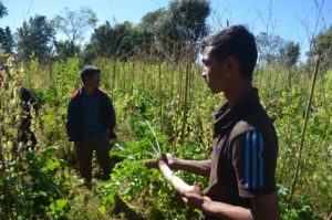 Youth Agriculture Meghalaya