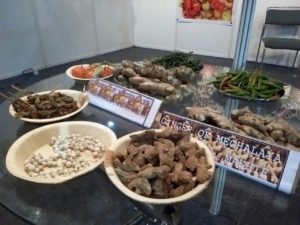 Read more about the article NESFAS at 2nd ‘Organics and Millets 2018 International Trade Fair’, Bangalore