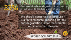 Read more about the article Be the Solution to Soil Pollution!