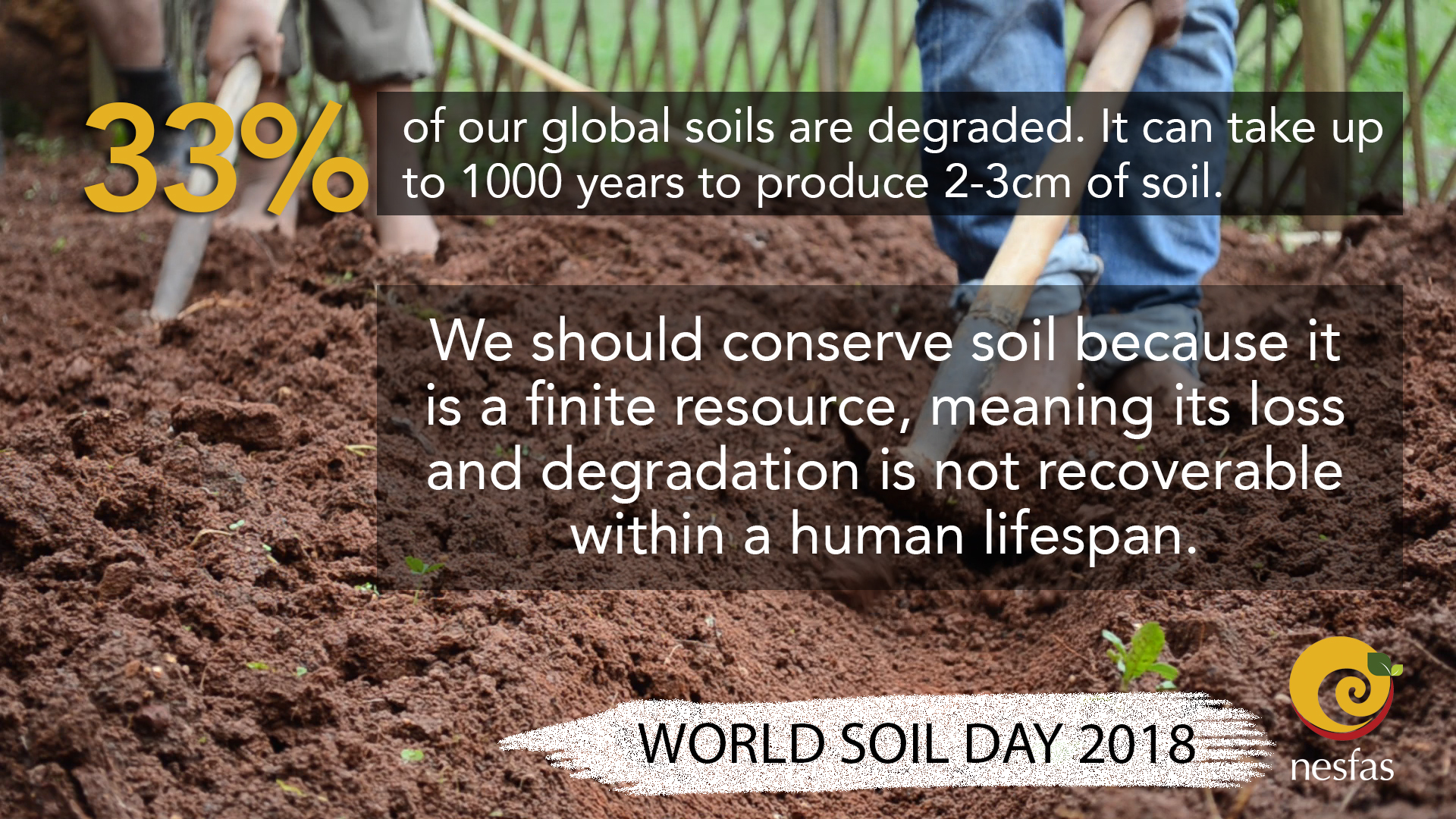 World Soil Day 1