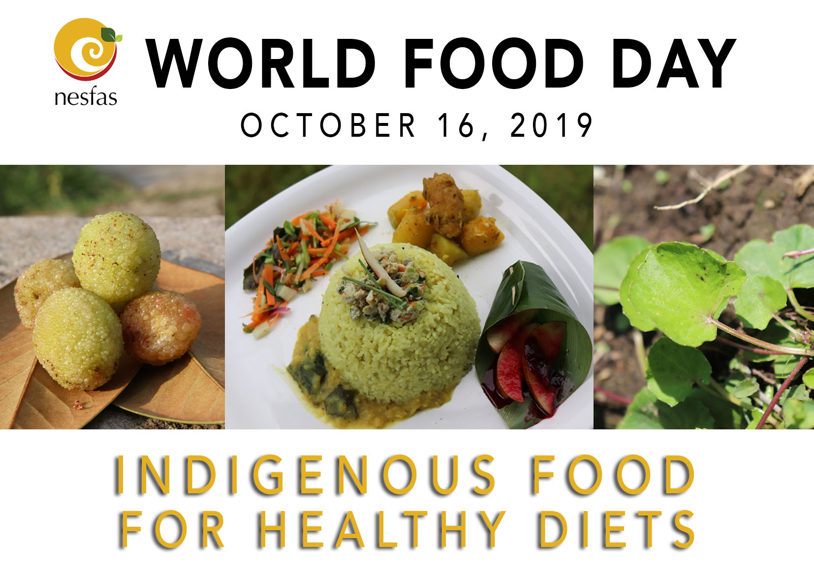 Read more about the article World Food Day: Indigenous Food for Healthy Diets