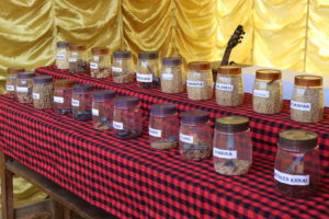Read more about the article Several rice seeds displayed at Mukhap Rice Festival held by SURE