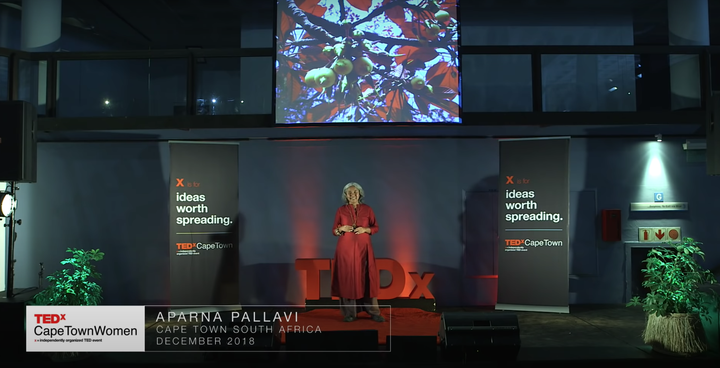 Read more about the article What foods did your ancestors love?- Aparna Pallavi, TEDX Talks