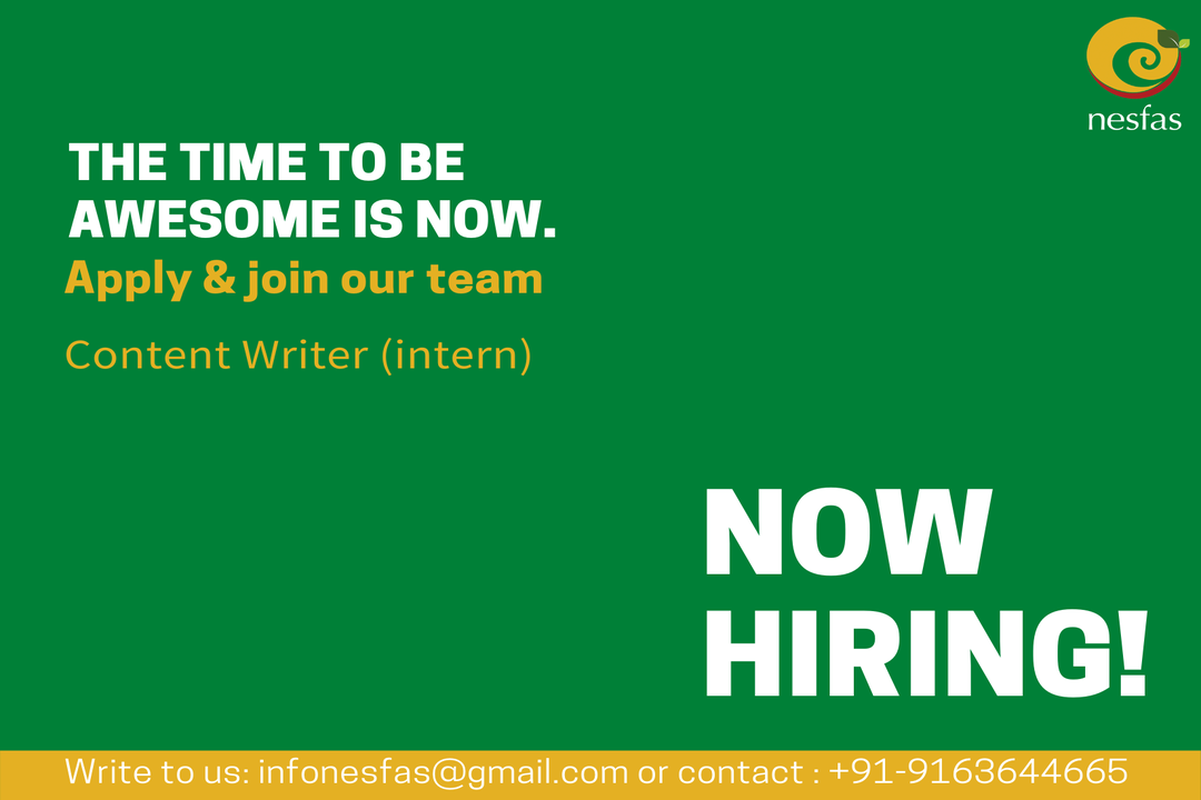 Read more about the article We Are Hiring! Content Writer-Intern