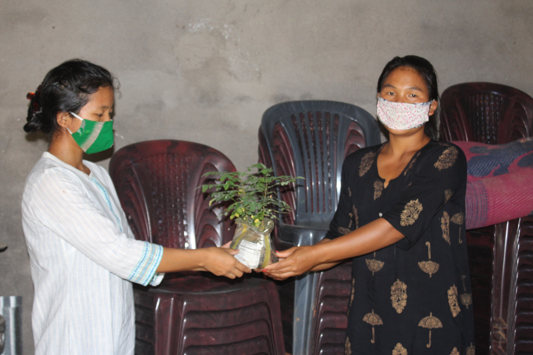 Read more about the article Garo Hills communities exchange saplings to increase diversity