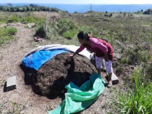 Read more about the article Nohron community members’ obtain good quality Berkeley Compost