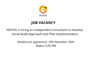 Read more about the article NESFAS is hiring an independent consultant to Develop Social Audit Approach and Pilot Implementation