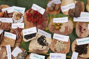 Read more about the article 9 communities showcase indigenous seeds at seed fair in Umsawwar