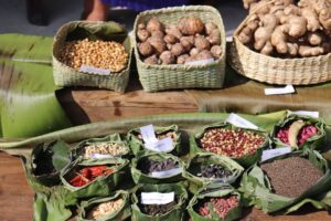 Read more about the article Communities showcase 50+ types of Indigenous seeds at an inter village seed fair