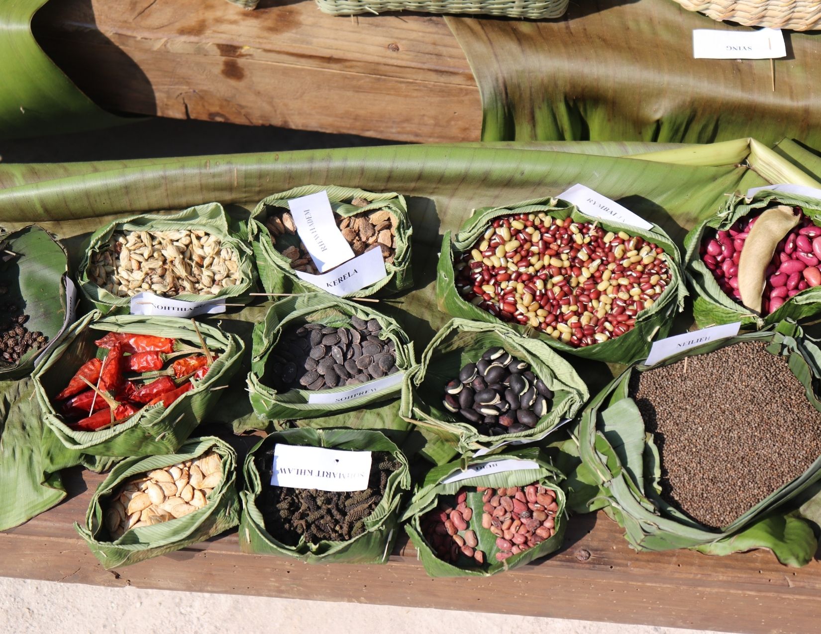 Read more about the article Community Seed Banks And Community Seed Fairs: Reaffirming Seed Sovereignty