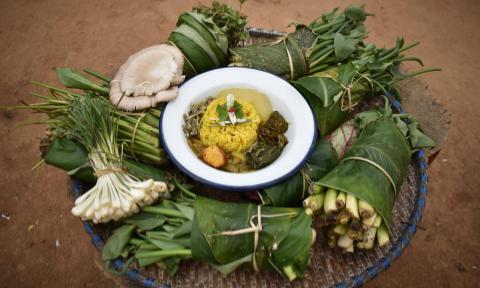 Read more about the article Webinar on ‘Indigenous Food System’ by St. Mary’s College and NESFAS