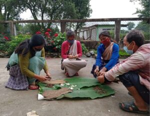 Read more about the article Empowering youth to strengthen Indigenous Food Systems