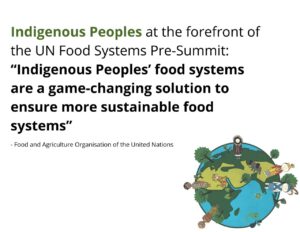 Read more about the article Indigenous Peoples at the forefront of the UN Food Systems Pre-Summit: “Indigenous Peoples’ food systems are a game-changing solution to ensure more sustainable food systems”