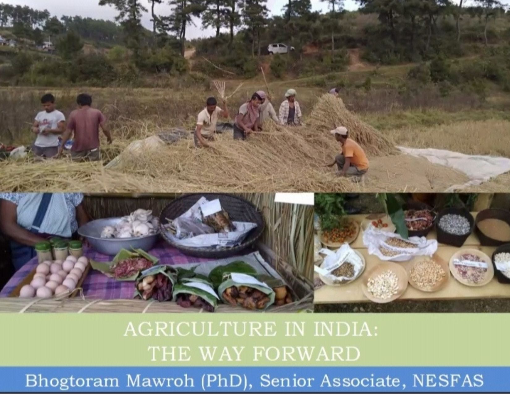 Read more about the article Dr. Bhogtoram Mawroh calls for the defense of Indigenous Food Systems to secure livelihoods and move Indian Agriculture forward