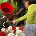 Cocoon Dyeing Process Eri Silk