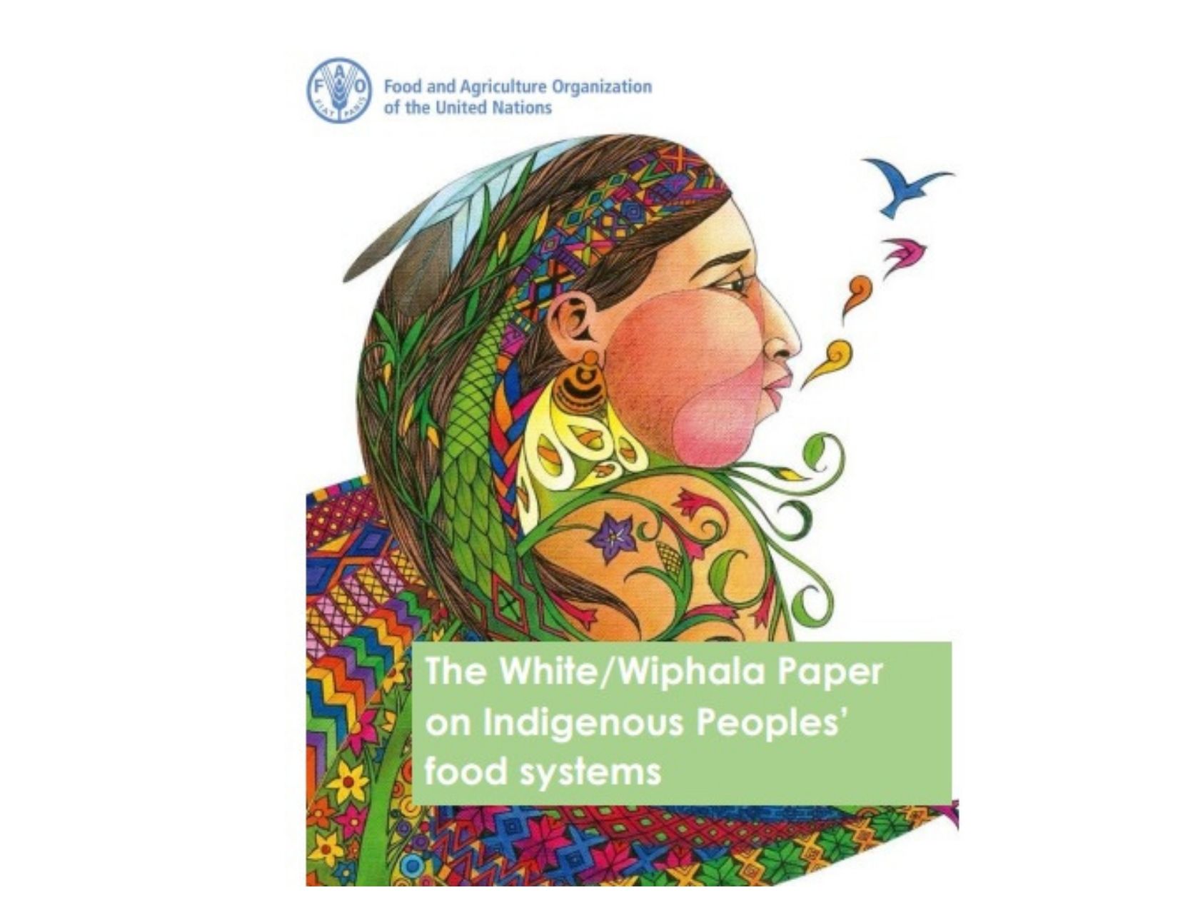 Read more about the article UN Pre-COP26 side event: Climate resilience insights from the White/Wiphala paper with reference to the Khasi Food Systems