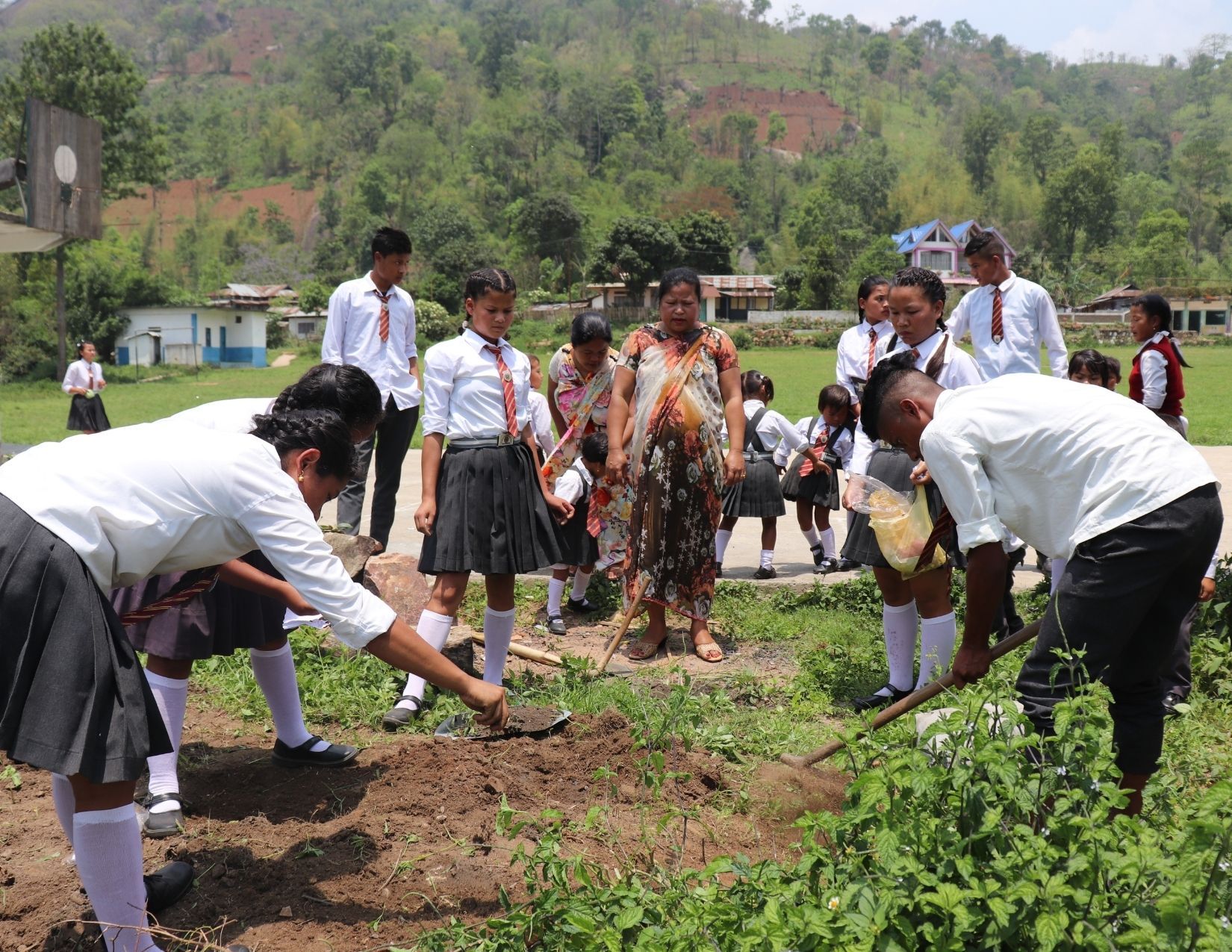 Read more about the article School Garden for combating malnutrition in Meghalaya
