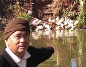 Read more about the article Bah Grossful Pariong and his 20 ducks: A story of an unconventional way of pest management