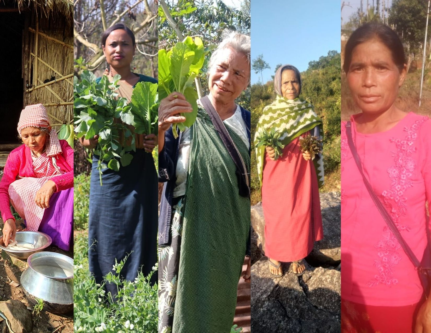 Read more about the article International Women’s Day – Honoring Indigenous Food Sheroes
