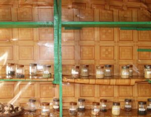 Read more about the article Mulum Community Seed Bank leads the way in preserving and disseminating Indigenous seeds