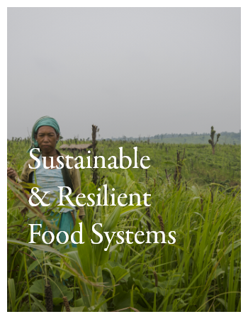 04 sustainable and resilient food systems