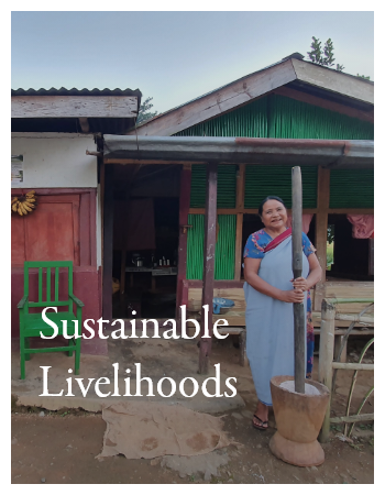 06 sustainable livelihoods