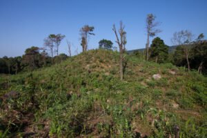 Read more about the article Implementation of the Indigenous Peoples’ Biocentric Restoration Project and the Food Insecurity Experience Scale Unit