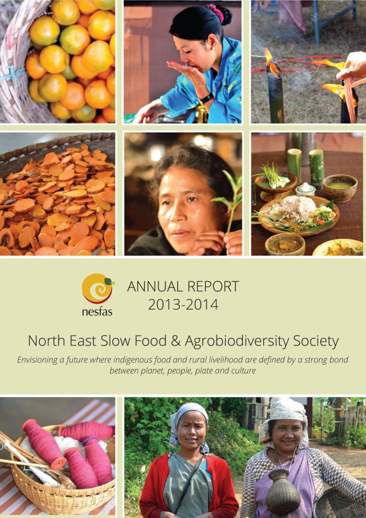 NESFAS Annual Report 2013 2014 1 new