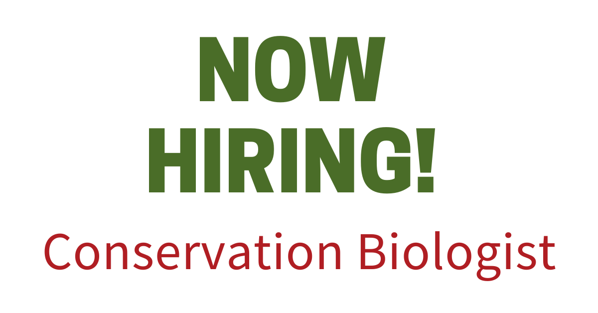 Read more about the article Job Vacancy – Conservation Biologist