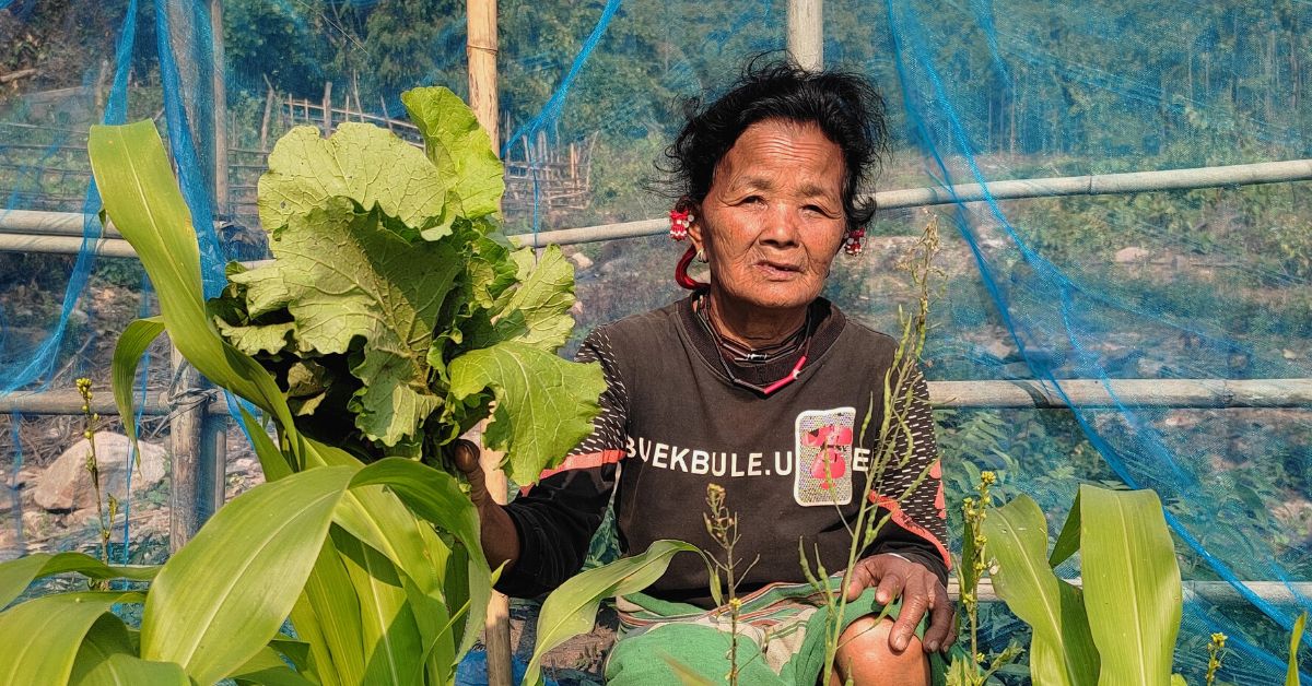 Read more about the article Elderly Custodian farmer from Garo Hills takes keen interest in the Agroecology Learning Circle experiments