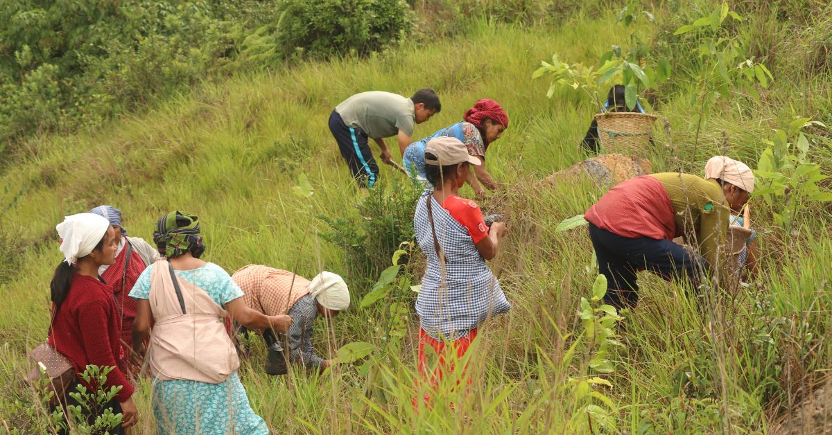 Read more about the article Restoring Harmony: Umsawwar’s Plantation Program: Nurturing nature and uniting community for a sustainable future