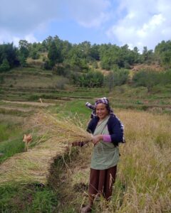 Read more about the article Championing Agrobiodiversity: Kong Thirda Khasain’s Journey