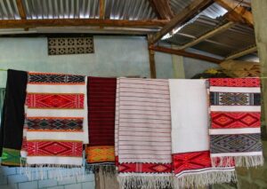 Read more about the article Traditional Knowledge of Sericulture and Weaving in Meghalaya: Preserving Cultural Heritage and Sustainable Livelihoods
