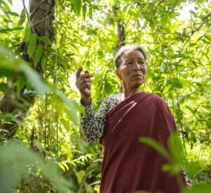 Read more about the article Kong Twian’s Garden of Hope