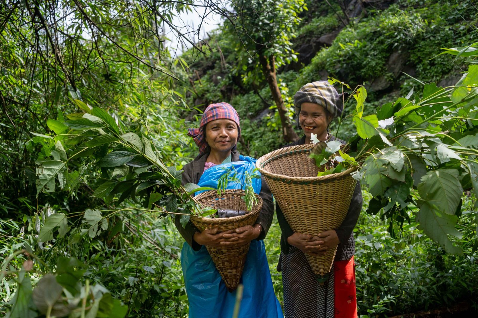 Read more about the article Community-led ecological restoration for a greener tomorrow