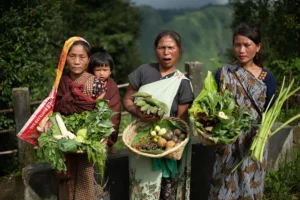 Read more about the article Support in Protection of Forests in Meghalaya through Participatory, Gender-Centric and Equitable Approaches & Equitable Conservation for Climate, Biodiversity, and Livelihoods in Northeast India