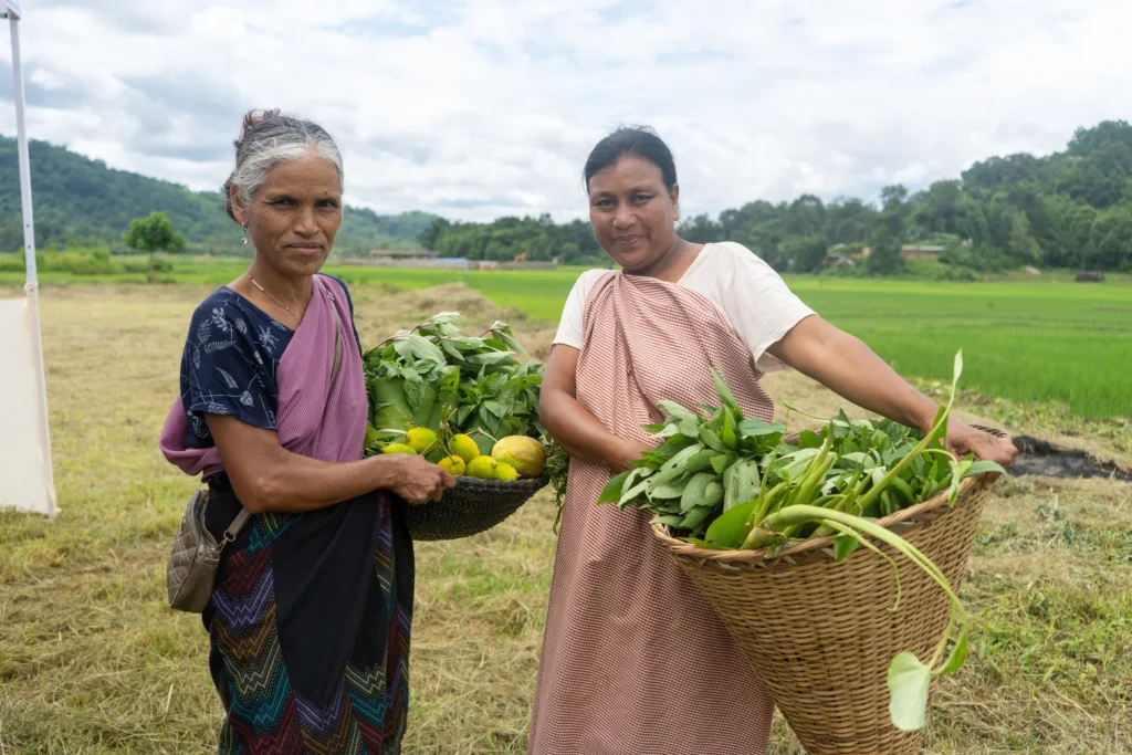 4. LIC HFL CSR Special