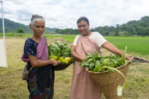 Read more about the article LIC HFL CSR Special Project in East Khasi Hills and Ri-Bhoi, Meghalaya