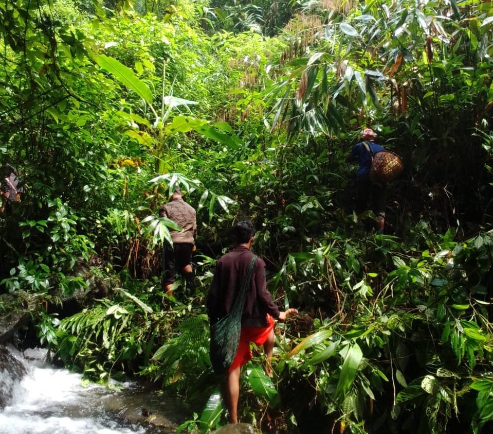 Read more about the article Bananas for Water: Nongpyrdi Village’s Simple Local Solution to a Growing Crisis