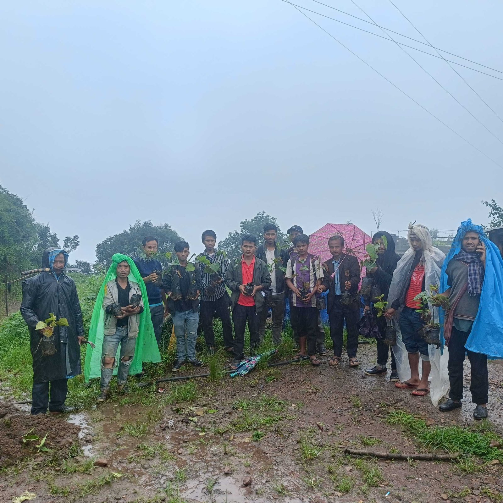 Read more about the article Tyniar Community Takes the Lead: Greening Forests, Guarding Water