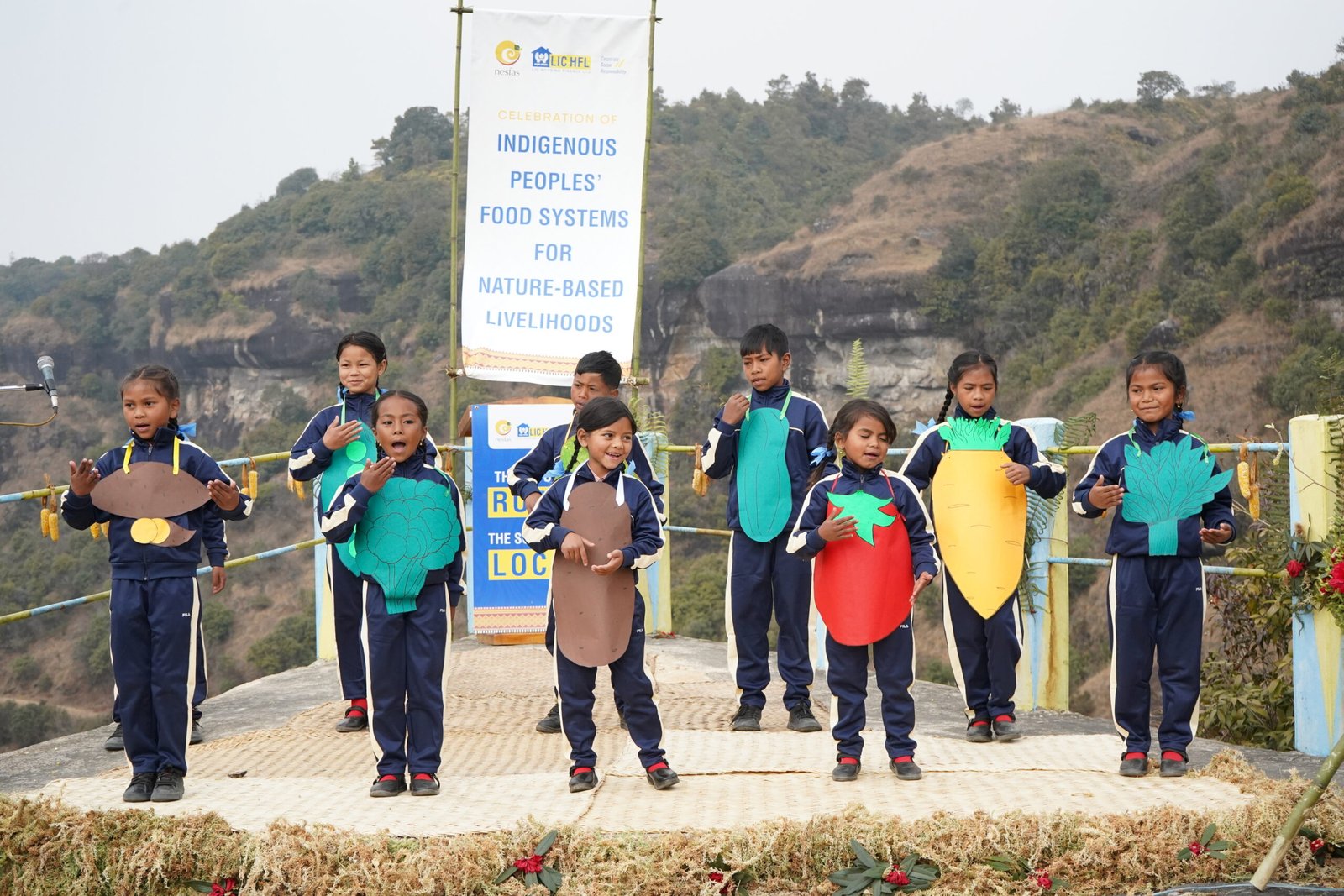 NESFAS and Communities Strengthen Nature-Based Livelihoods in Meghalaya through LIC HFL Support 15 4 scaled