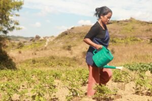 Read more about the article Strengthening Kitchen Gardens Through Community Spirit and Women’s Leadership