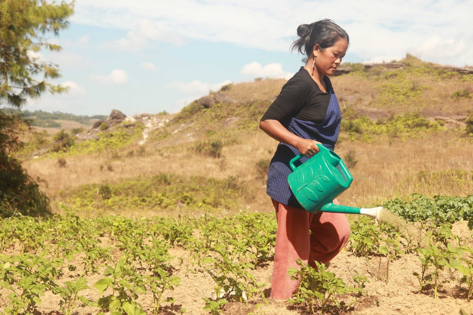 Read more about the article Strengthening Kitchen Gardens Through Community Spirit and Women’s Leadership
